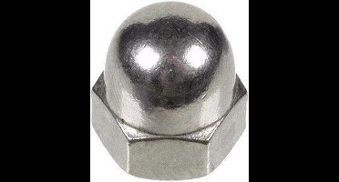 Hoenderdaal dopmoer m16  rvs A2 1587