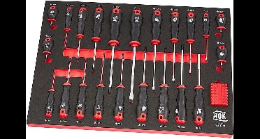 AOK Professionele 55 Delige Schroevendraaierset Foam Inlay