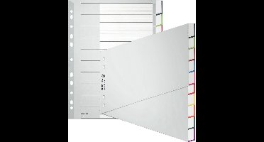 Leitz kunststof registerbladen, blanco, A4 breedformaat, schuin