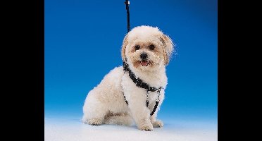 Nobby easy walker nr.2, anti-trek zwart - 1 ST