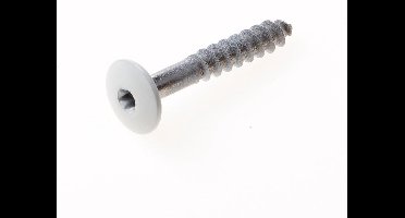 Schroef Wit Ral 9010 - 4,8 x 32 mm - 100 St