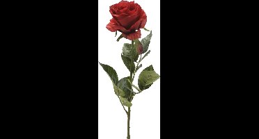 Emerald Kunstbloem roos Simone - rood - 73 cm - decoratie bloemen