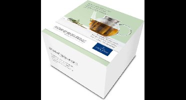 Villeroy & Boch Theepot Artesano Hot & Cold Beverages - 1 Liter