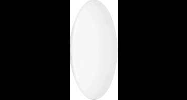 Ledvance Onderdeel | SURFACE CIRCULAR COVER 500 COVER | 4099854064395