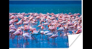PosterMonkey - Poster - Fotolijst - Dieren - Flamingo - Zwart - Wit - Grijs - Kader - 90x60 cm - Slaapkamer - Poster lijst - Frame poster - Poster flamingo - Poster met frame