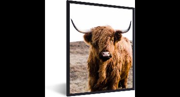 PosterMonkey - Fotolijst - Poster - Dieren - Schotse hooglander - Natuur - Koeien - Poster frame - 60x80 cm - Kader - Poster natuur - Foto met lijst - Woondecoratie - Poster Schotse hooglander
