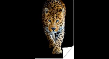 Poster Luipaard - Dieren - Portret - Wilde dieren - Zwart - 20x30 cm
