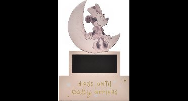 Disney Minnie Mouse Aftelblok