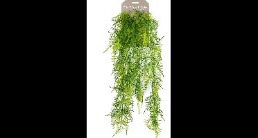 Emerald - Kunst Hangplant Asparagus Plumosus 80cm - Kunstplant voor binnen