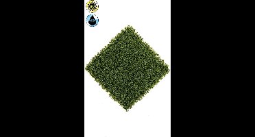 Emerald - Kunst Plantenwand Cypress UV 50x50cm - Kunstplant voor binnen