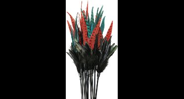 Kattenhengel - Mystic Long Feather