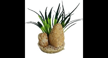 Sydeco kunstplant Rainbow Stone plant 15 x 13 x 9 cm