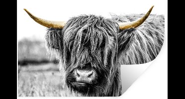 Muurstickers - Sticker Folie - Schotse hooglander - Hoorns - Goud - Zwart - 30x20 cm - Plakfolie - Muurstickers Kinderkamer - Zelfklevend Behang - Zelfklevend behangpapier - Stickerfolie