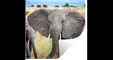 Muurstickers - Sticker Folie - Olifant - Dieren - Gras - Natuur - 30x30 cm - Plakfolie - Muurstickers Kinderkamer - Zelfklevend Behang - Zelfklevend behangpapier - Stickerfolie