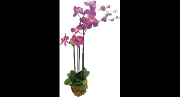 Mica Decorations Kunstplant Phalaenopsis paars 30x18x76cm