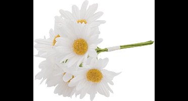 Madeliefjes - 6 stuks