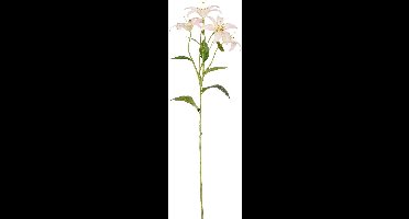 MICA DECORATIONS LELIE ROZE - L63CM
