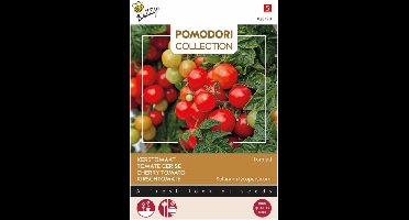 Buzzy - Kerstomaat Tomfall