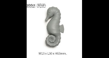 Qualy - Licht Grijs "Seahorse Magnet” W13 x L30 x H63 mm 18 gr Koelkastmagneet | Whiteboard Magneet | Magnet - Magneten