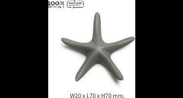 Qualy - Licht Grijs “Sea Star Magnet” W20 x L70 x H70 mm 24 gr Koelkastmagneet | Whiteboard Magneet | Magnet - Magneten