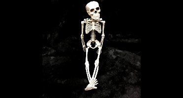 Boland - hangend Skelet 5 stuks (28cm)