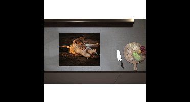 Inductieplaat Beschermer - Afrikaanse Vrouwtjes Leeuw Spelend met Stok - 60x50 cm - 2 mm Dik - Inductie Beschermer - Bescherming Inductiekookplaat - Kookplaat Beschermer van Wit Vinyl