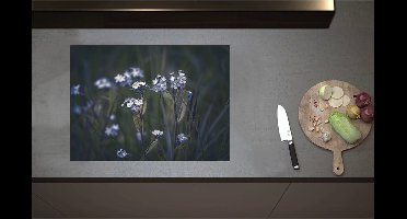 Inductieplaat Beschermer - Blauwe Vergeet-Mij-Nietjes Bloemen - 70x51 cm - 2 mm Dik - Inductie Beschermer - Bescherming Inductiekookplaat - Kookplaat Beschermer van Wit Vinyl