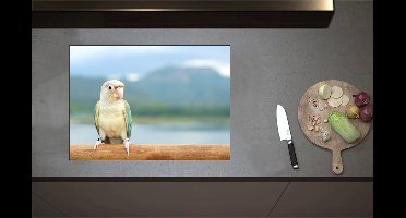 Inductieplaat Beschermer - Beige met Turqoise Mini Papegaai op Tak voor Gebergte - 71x51 cm - 2 mm Dik - Inductie Beschermer - Bescherming Inductiekookplaat - Kookplaat Beschermer van Wit Vinyl