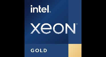 DELL Intel Xeon Gold 5416S processor