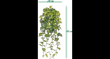 Philodendron Scandens Brasil kunst hangplant 80cm