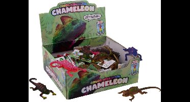 48 kleurveranderende kameleons 26110