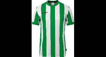Uhlsport Stripe 2.0 Shirt Korte Mouw Heren - Groen / Wit | Maat: M