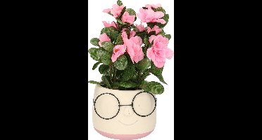 Dijk Natural Collections Bloempot/plantenpot gezicht met brilletje - wit/lichtroze - voor kamerplant - D13 x H10 cm