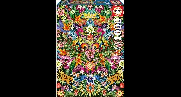 Educa puzzels 1000 stukjes - Toekan kleurrijk karton - Vanaf 14 jaar