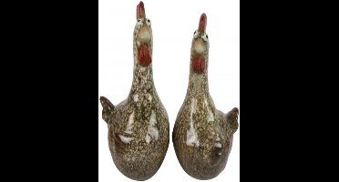 Countryfield- Kip Chelsy M - 2 stuks - bruin pasen