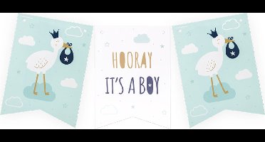 Flag banner - Newborn baby boy
