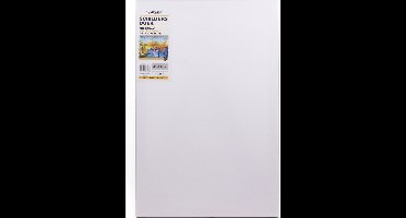 Benson Canvas schilders doek 40 x 60 cm schilderen - hobby accessoires