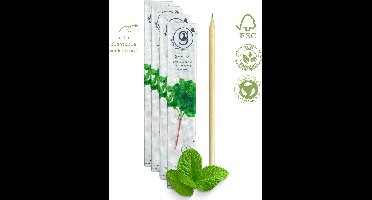 green-goose® Seedz Bloeipotlood in Plantbare Verpakking | 4 Doosjes (van 4 Stuks) | Munt | Duurzaam en Circulair | USE, PLANT, EAT, REPEAT | Plant een Boom!