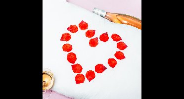 OOTB Nep Rozenblaadjes