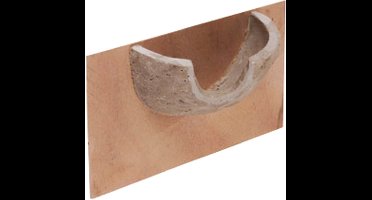 Best for Birds Huiszwaluwnest Vogelhuisje