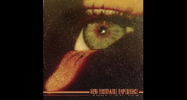 New Miserable Experience - Philosophy On Pessimism (LP)