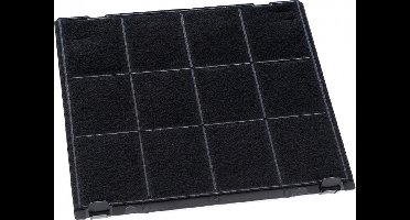 Koolstoffilter voor Hotpoint-Ariston C00308181 / 484000008777