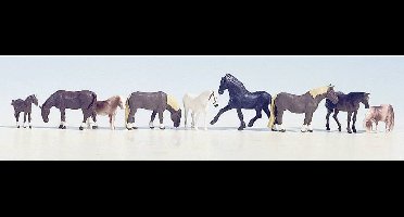 NOCH 15761 H0 Dieren figuren Geverfd, Staand