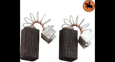 Koolborstelset voor Black & Decker Schuurmachine F226TR - 6,3x8x14,5mm