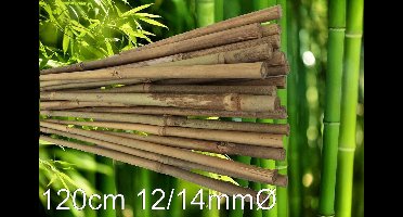 25 Bamboestokken á 120cm met Ø 12-14mm - Tonkinstokken