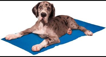Koelmat hond – Flamingo Frosty – koelmatten voor honden – koelmat kat – koelmat voor honden – koelmat voor katten – 100x60 cm – blauw