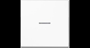 JUNG LS990KLWW JUN LS990 AFD.KLAPDEKSEL ALP