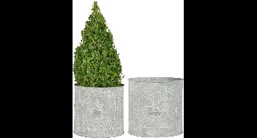 Set van 2 bloempotten met leeuwenkop (rond)