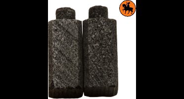 Koolborstelset voor Casals Schuurmachine 3T10P - 6x6x12mm