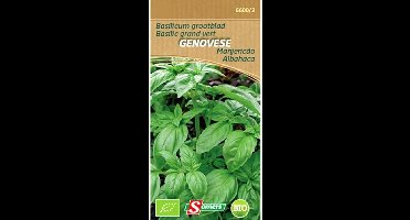 Basilicum grootblad - Genovese BIO